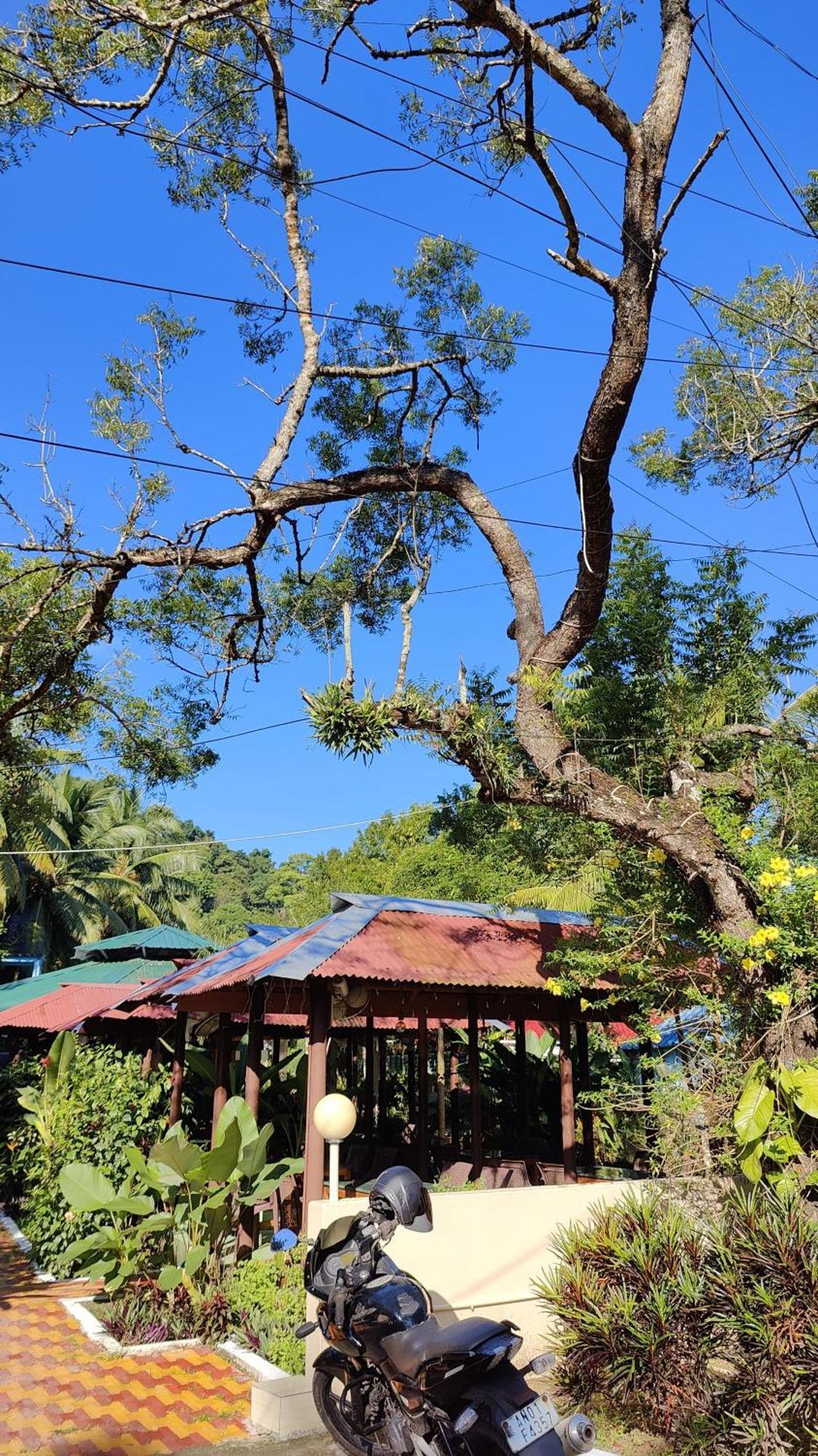 Nancowry Resort Govind Nagar Exteriör bild